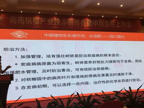 創新共贏 2018檳榔產業技術研討交流會分享