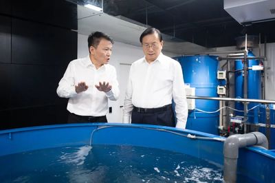 王忠林調研民營企業發展并召開座談會 深化技術推廣服務，激發民營經濟新動能